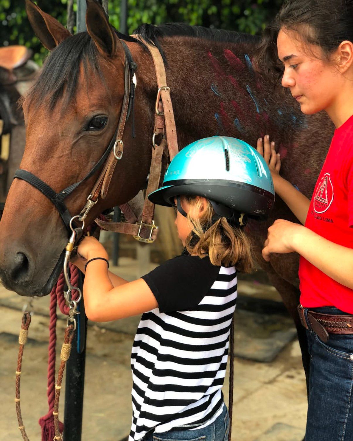 A child in a turquoise helmet grooming a brown horse beside an older girl in a red shirt