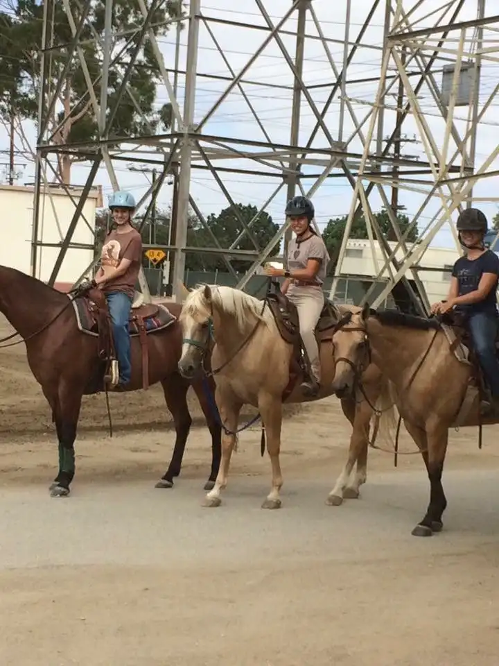 Group riding lesson in arena