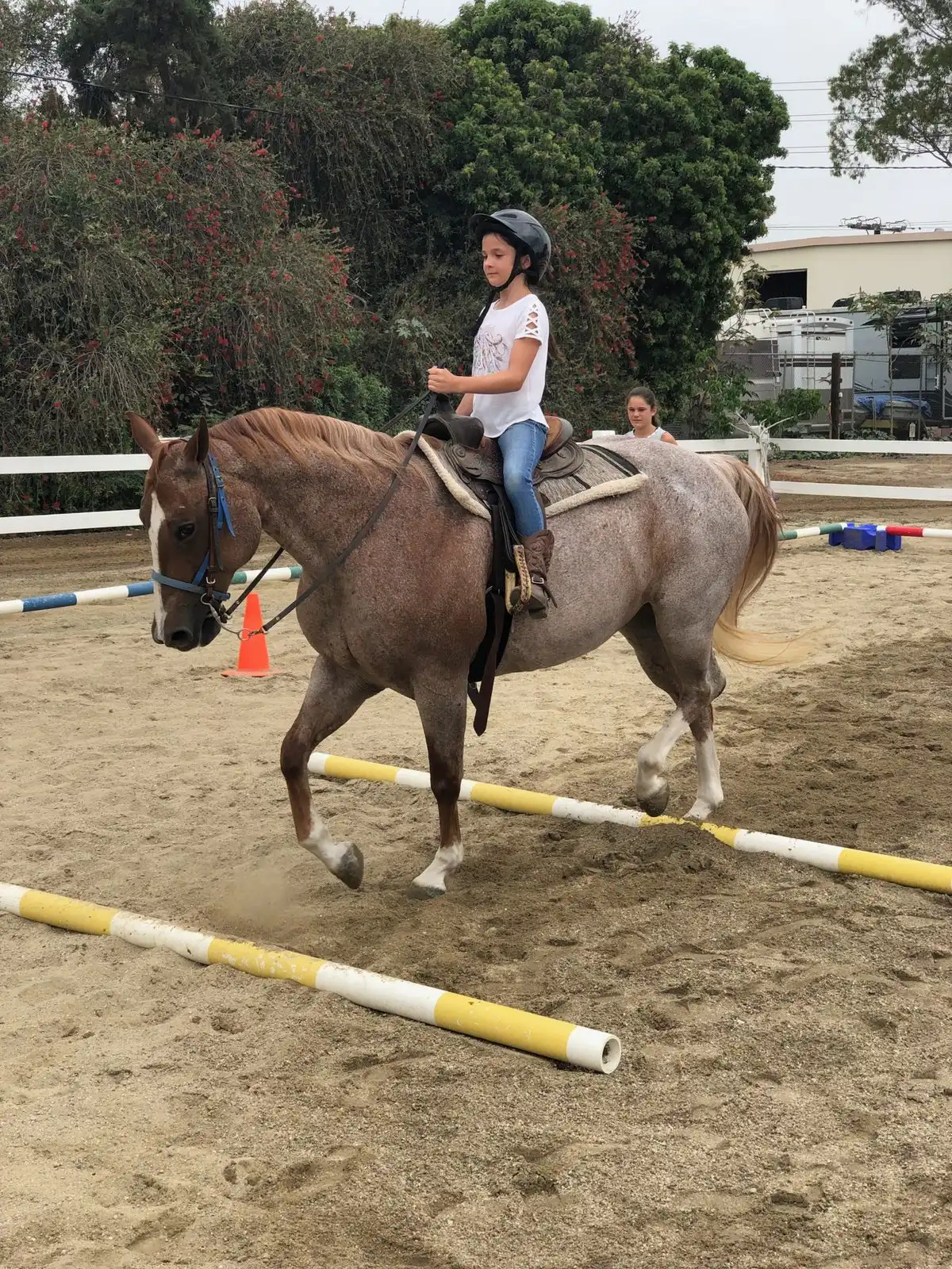Youth rider in lesson with instructor