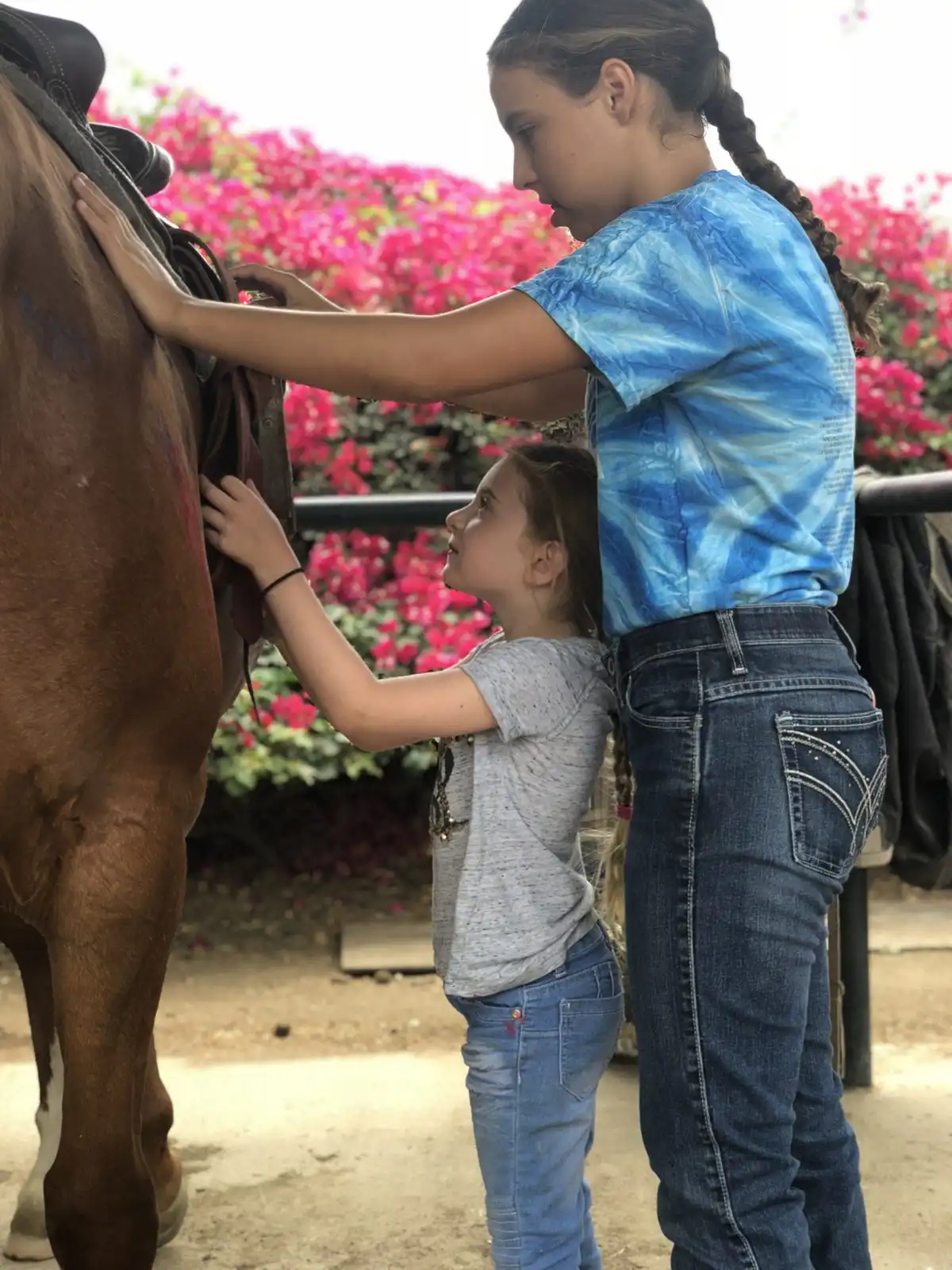 Girls learning to saddle a horse — bougainvillea background